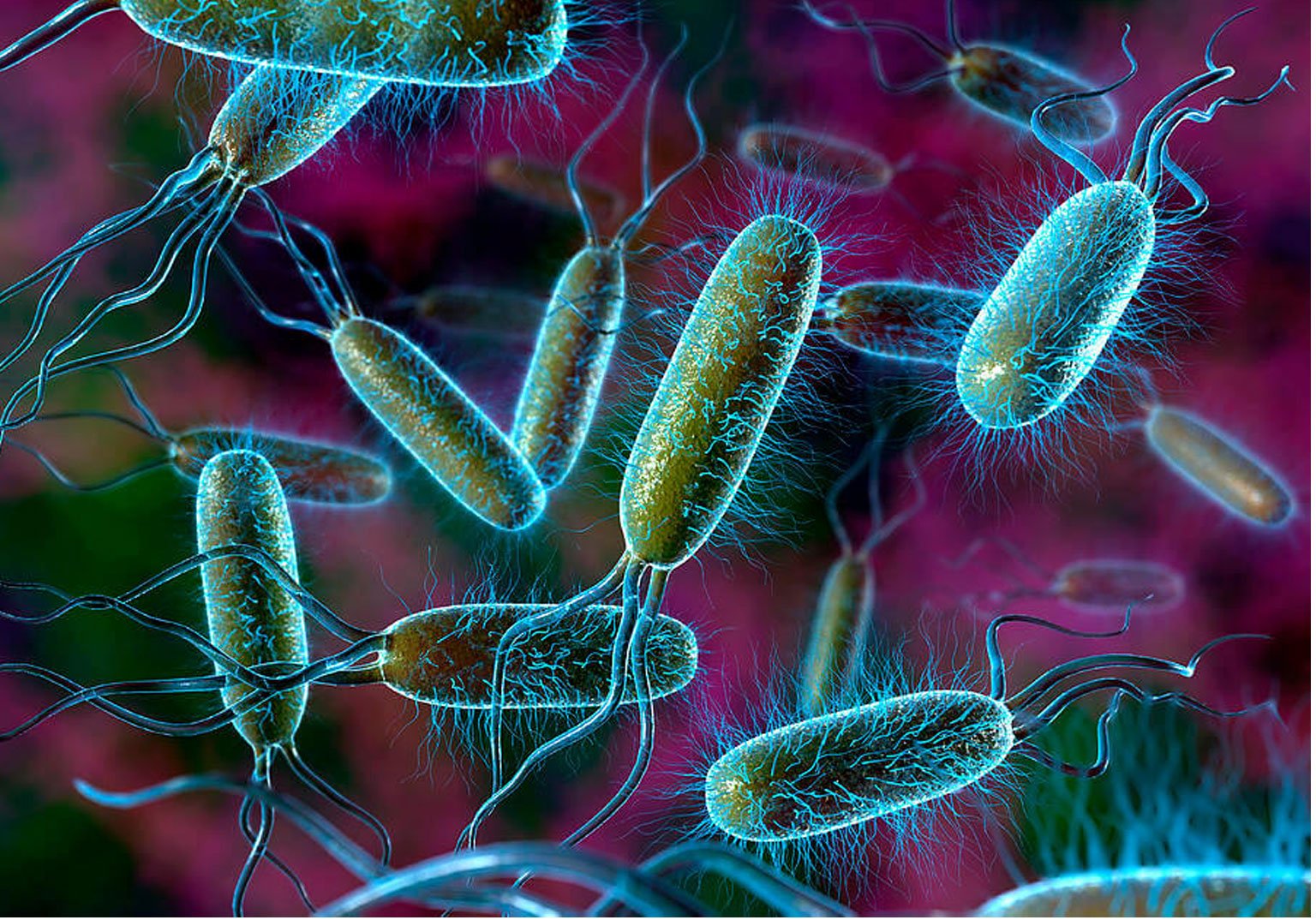 What is this hype about Anti biotic Resistance?
